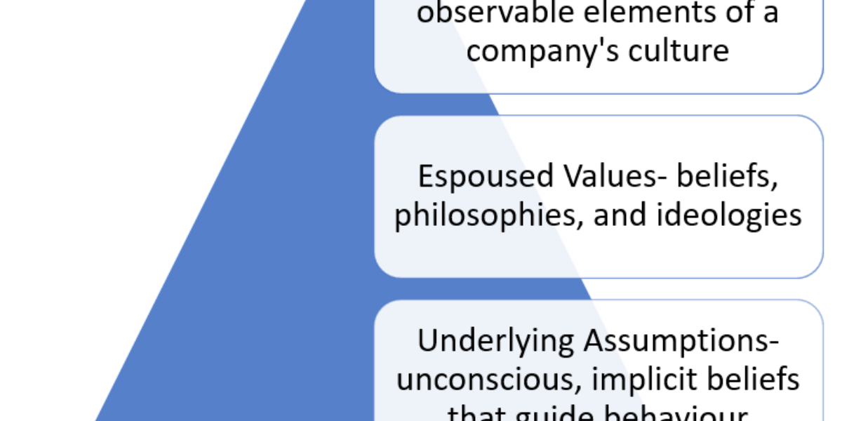 schein org culture model