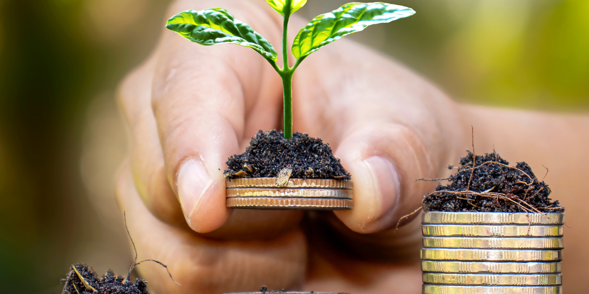 sustainable growth