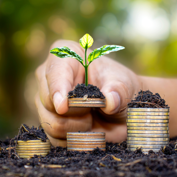 sustainable growth