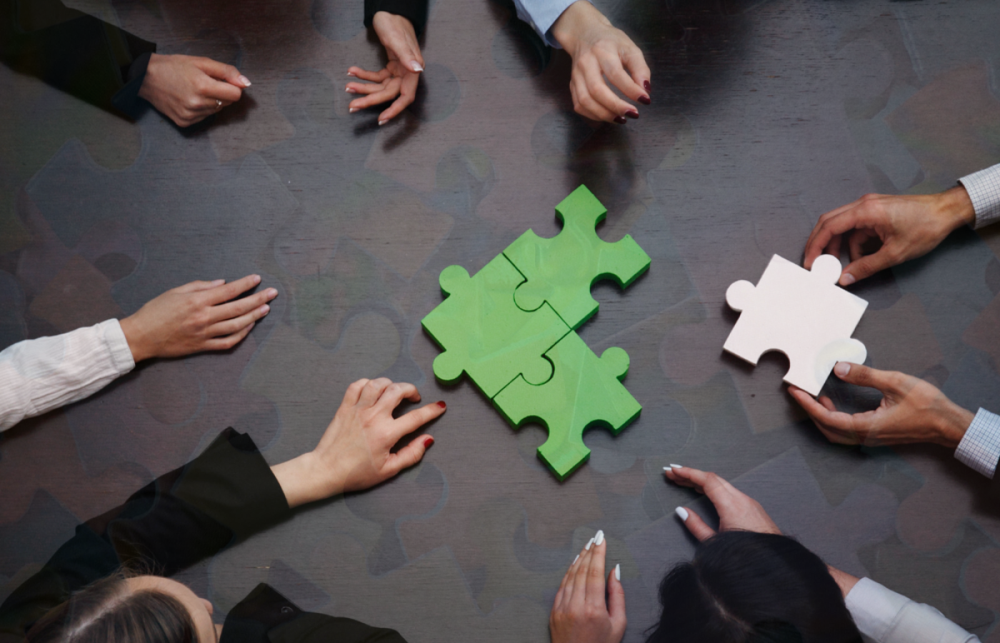 performance puzzle (1)